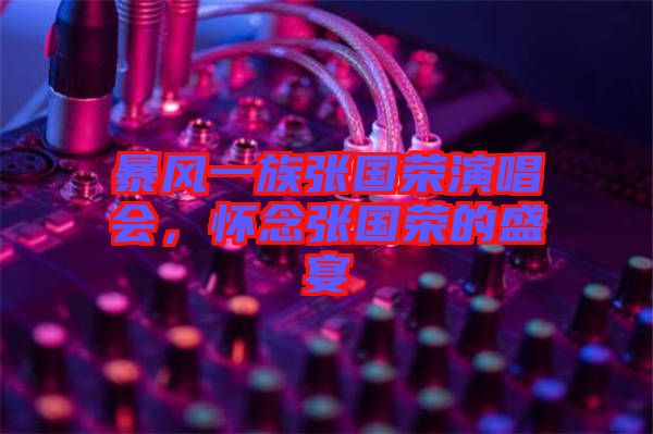 暴風(fēng)一族張國榮演唱會(huì)，懷念張國榮的盛宴