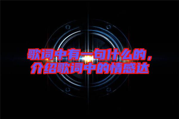 歌詞中有一句什么的，介紹歌詞中的情感達