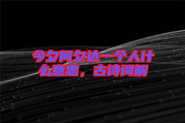 今夕何夕達一個人什么意思，古詩詞解