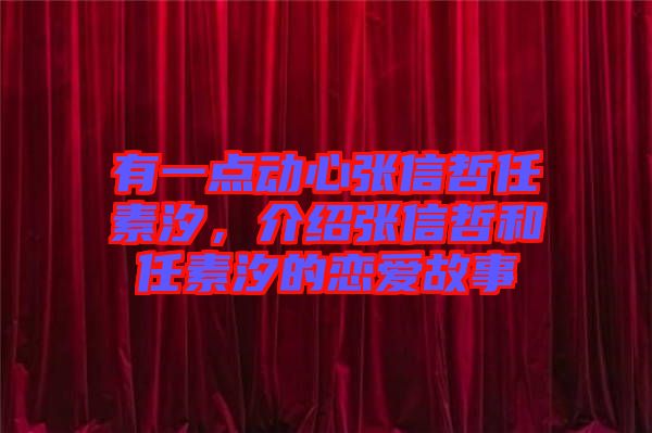 有一點(diǎn)動心張信哲任素汐，介紹張信哲和任素汐的戀愛故事