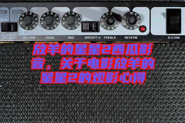 放羊的星星2西瓜影音，關(guān)于電影放羊的星星2的觀影心得