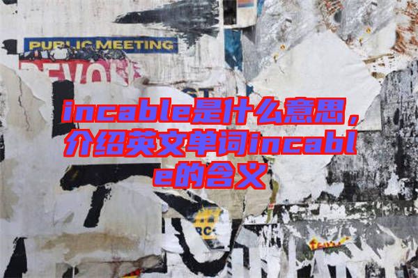 incable是什么意思，介紹英文單詞incable的含義