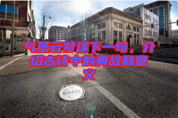氣蒸云夢(mèng)澤下一句，介紹古詩(shī)中的典故和意義