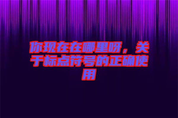 你現在在哪里呀，關于標點符號的正確使用