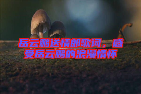 岳云鵬送情郎歌詞，感受岳云鵬的浪漫情懷