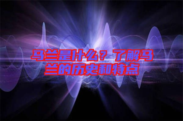 馬蘭是什么？了解馬蘭的歷史和特點(diǎn)