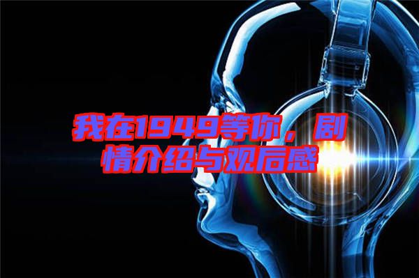 我在1949等你，劇情介紹與觀后感