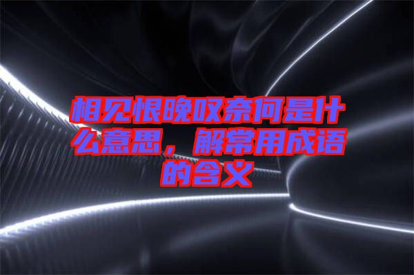 相見恨晚嘆奈何是什么意思，解常用成語(yǔ)的含義