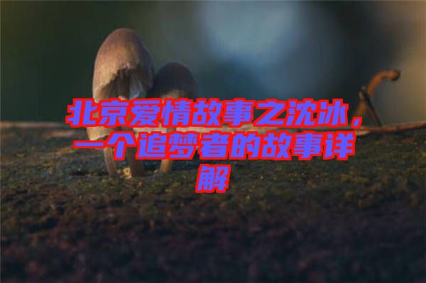 北京愛情故事之沈冰，一個追夢者的故事詳解
