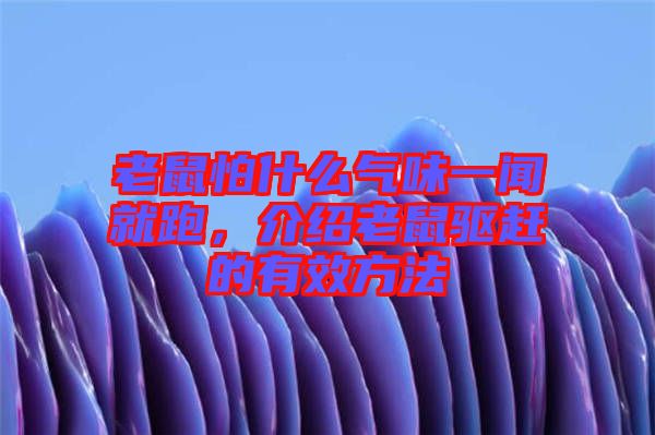 老鼠怕什么氣味一聞就跑，介紹老鼠驅(qū)趕的有效方法