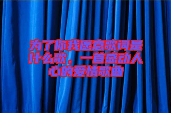 為了你我愿意歌詞是什么歌，一首感動人心的愛情歌曲