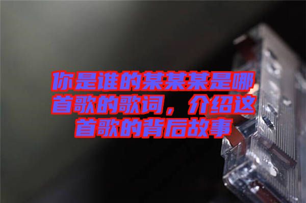 你是誰(shuí)的某某某是哪首歌的歌詞，介紹這首歌的背后故事