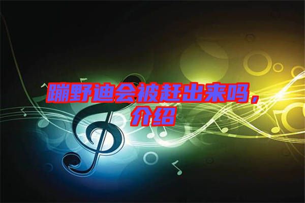 蹦野迪會被趕出來嗎，介紹