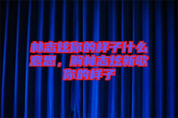 林志炫你的樣子什么意思，解林志炫新歌你的樣子