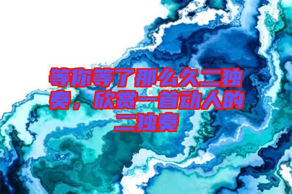 等你等了那么久二獨(dú)奏，欣賞一首動(dòng)人的二獨(dú)奏