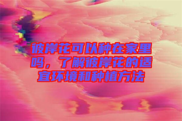 彼岸花可以種在家里嗎，了解彼岸花的適宜環(huán)境和種植方法