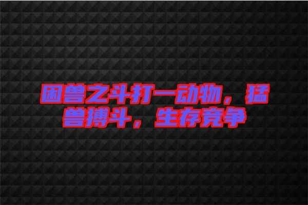 困獸之斗打一動物，猛獸搏斗，生存競爭