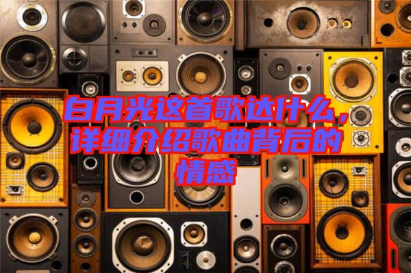 白月光這首歌達什么，詳細介紹歌曲背后的情感