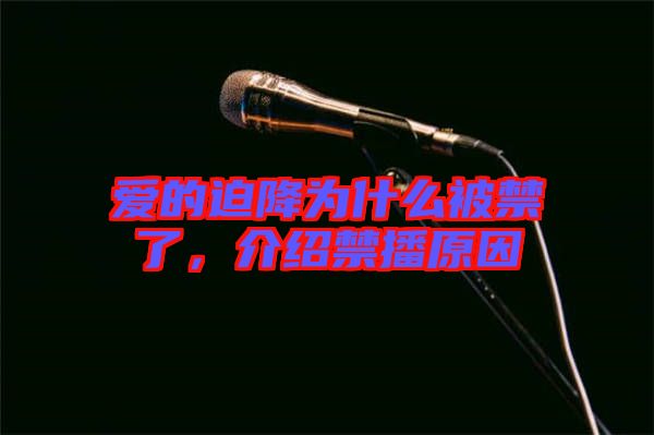 愛的迫降為什么被禁了，介紹禁播原因
