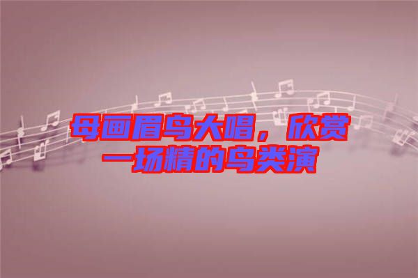 母畫眉鳥大唱，欣賞一場精的鳥類演