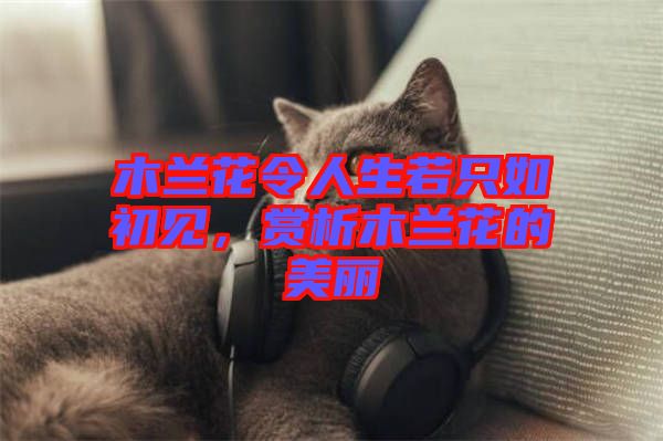 木蘭花令人生若只如初見，賞析木蘭花的美麗