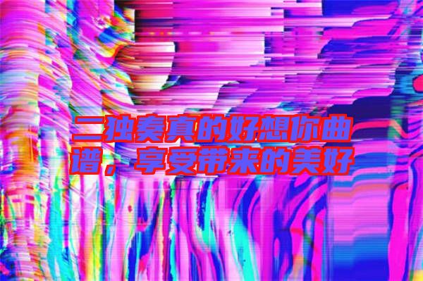 二獨奏真的好想你曲譜，享受帶來的美好