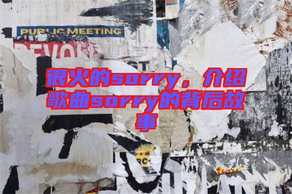 很火的sorry，介紹歌曲sorry的背后故事