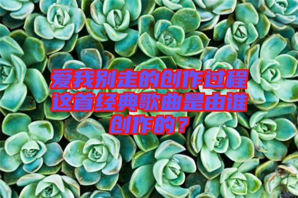 愛我別走的創(chuàng)作過程這首經(jīng)典歌曲是由誰創(chuàng)作的？