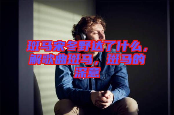 斑馬宋冬野達了什么，解歌曲斑馬，斑馬的深意