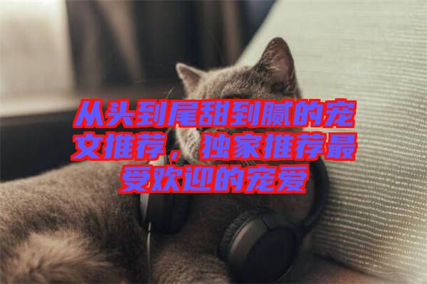 從頭到尾甜到膩的寵文推薦，獨家推薦最受歡迎的寵愛