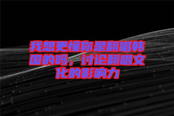 我想更懂你是翻唱韓國的嗎，討論翻唱文化的影響力