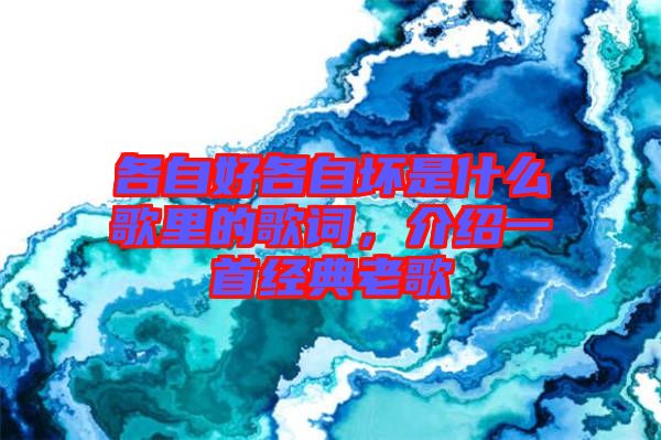 各自好各自壞是什么歌里的歌詞，介紹一首經(jīng)典老歌