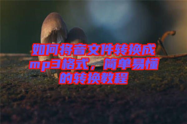 如何將音文件轉(zhuǎn)換成mp3格式，簡單易懂的轉(zhuǎn)換教程