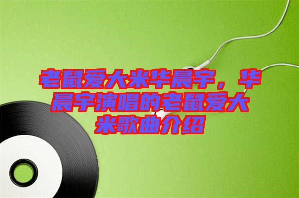 老鼠愛(ài)大米華晨宇，華晨宇演唱的老鼠愛(ài)大米歌曲介紹