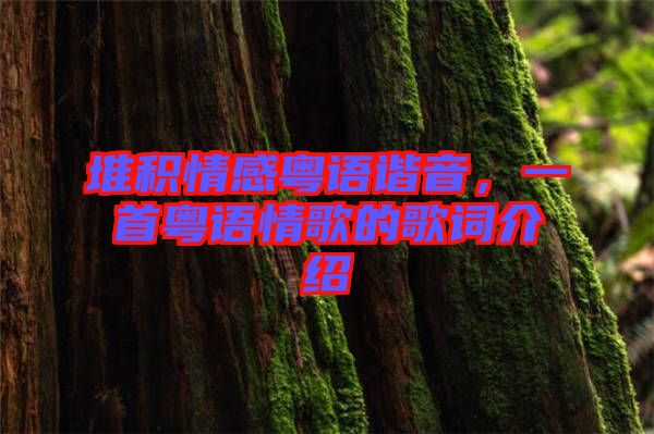 堆積情感粵語諧音，一首粵語情歌的歌詞介紹
