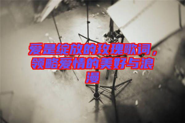 愛是綻放的玫瑰歌詞，領(lǐng)略愛情的美好與浪漫