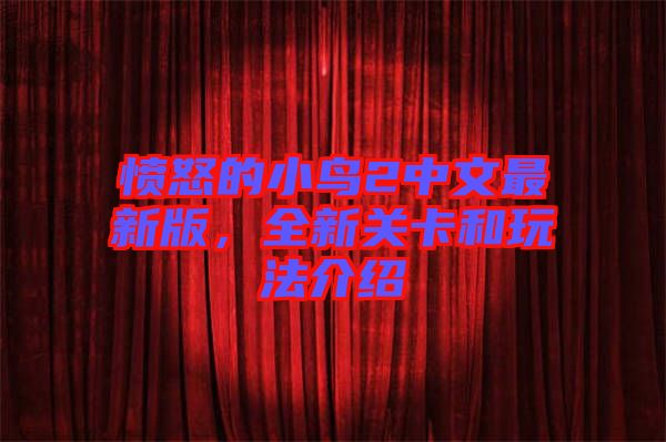 憤怒的小鳥2中文最新版，全新關(guān)卡和玩法介紹