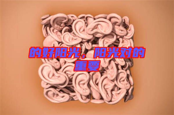 的好陽(yáng)光，陽(yáng)光對(duì)的重要