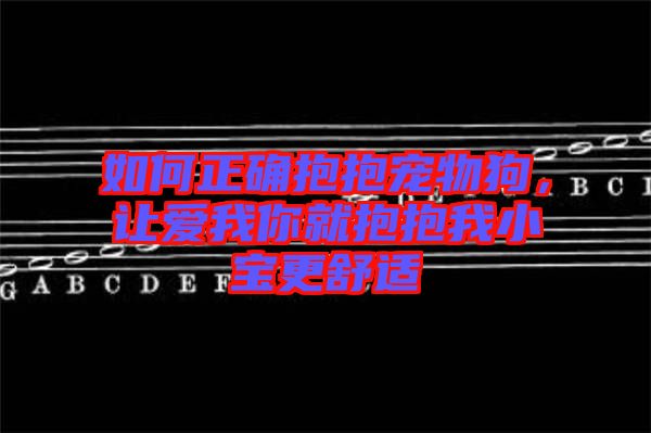 如何正確抱抱寵物狗，讓愛我你就抱抱我小寶更舒適