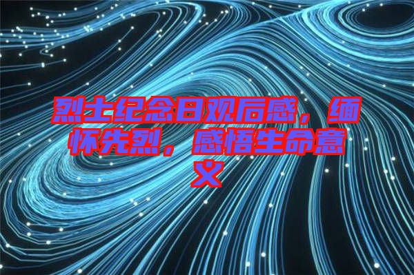烈士紀(jì)念日觀后感，緬懷先烈，感悟生命意義