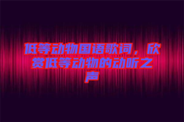 低等動(dòng)物國語歌詞，欣賞低等動(dòng)物的動(dòng)聽之聲