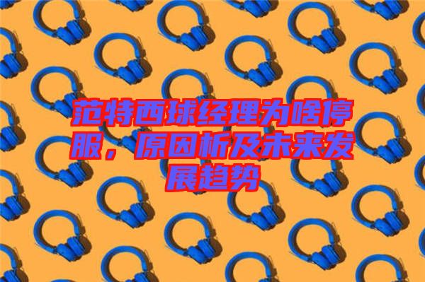 范特西球經(jīng)理為啥停服，原因析及未來發(fā)展趨勢