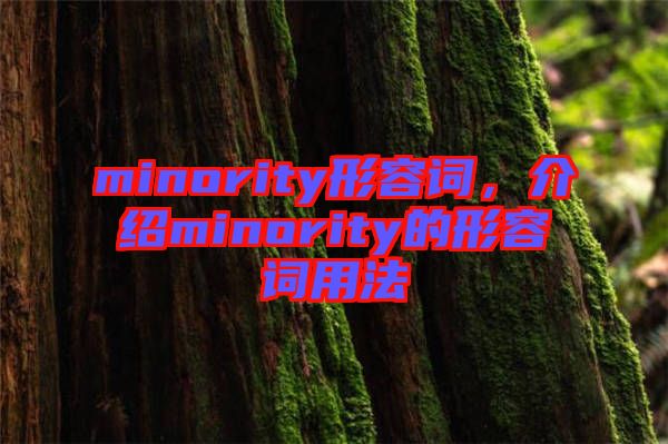 minority形容詞，介紹minority的形容詞用法
