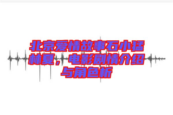 北京愛情故事石小猛林夏，電影劇情介紹與角色析