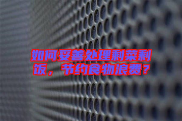 如何妥善處理剩菜剩飯，節(jié)約食物浪費(fèi)？