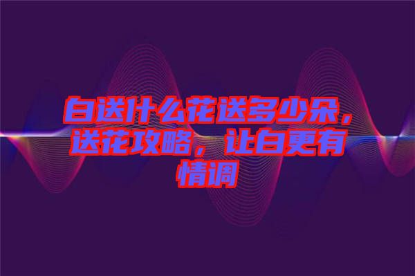 白送什么花送多少朵，送花攻略，讓白更有情調(diào)