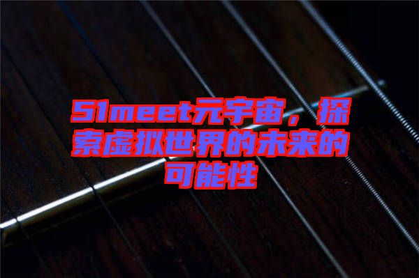 51meet元宇宙，探索虛擬世界的未來的可能性