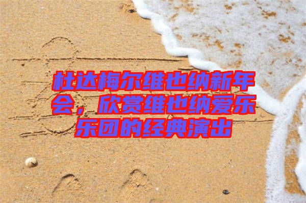 杜達(dá)梅爾維也納新年會(huì)，欣賞維也納愛樂樂團(tuán)的經(jīng)典演出