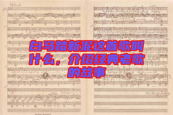 白馬踏新泥這首歌叫什么，介紹經(jīng)典老歌的故事