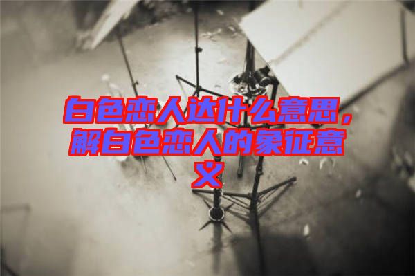 白色戀人達(dá)什么意思，解白色戀人的象征意義